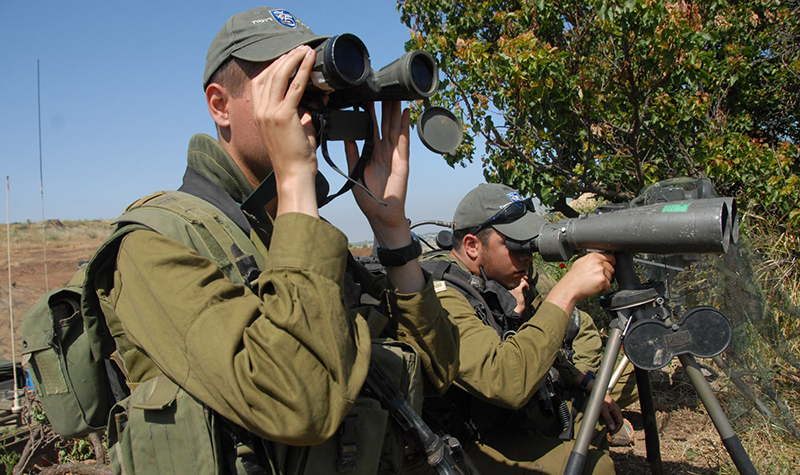 Grounds for Hope: The Science Behind Territorial Conflict