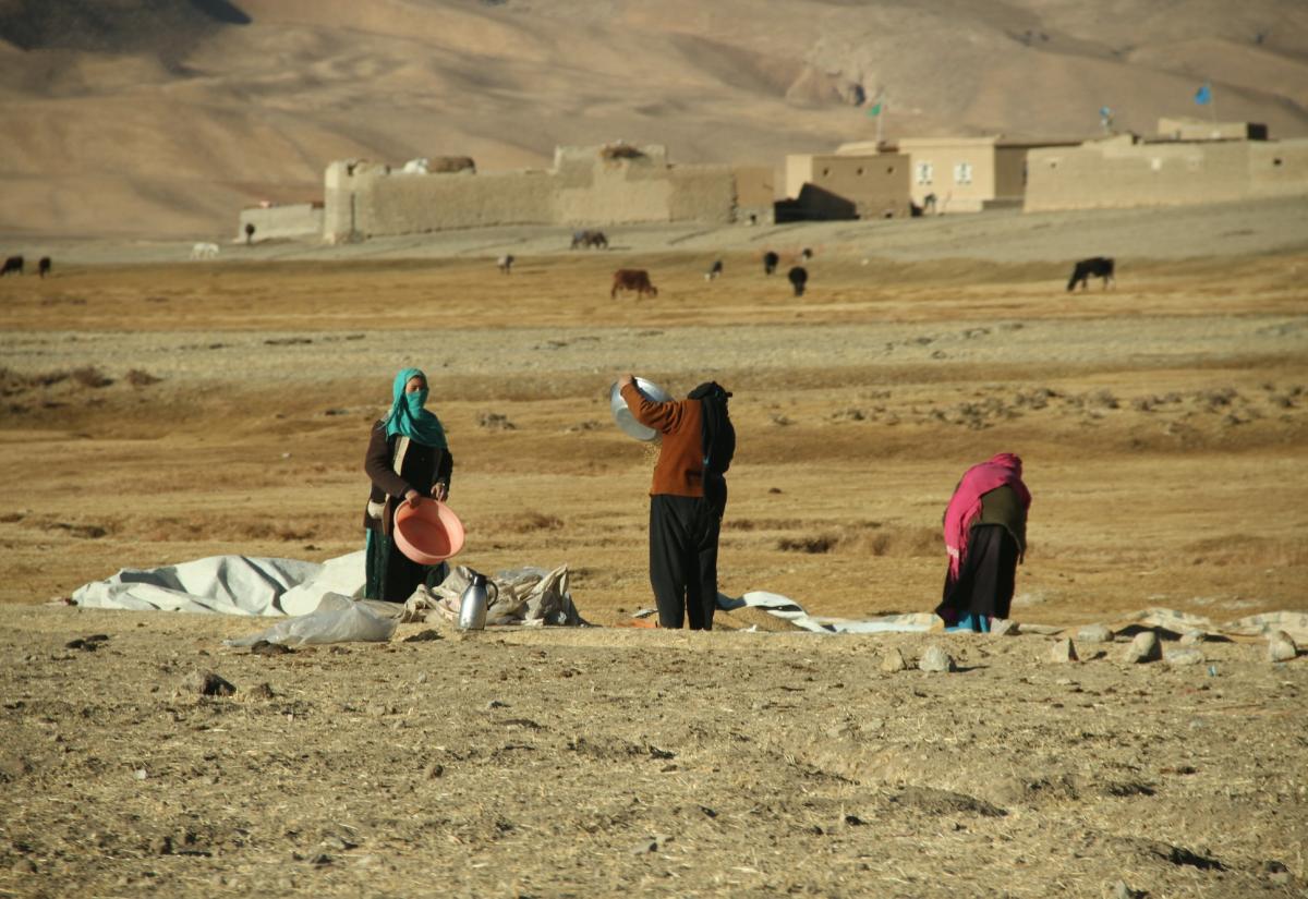 Women working in Bamyan, Afghanistan