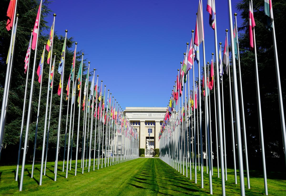United Nations flags