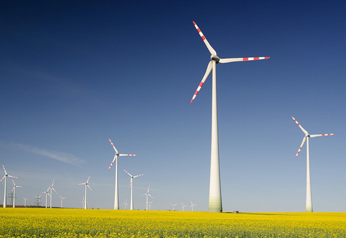 Wind farm